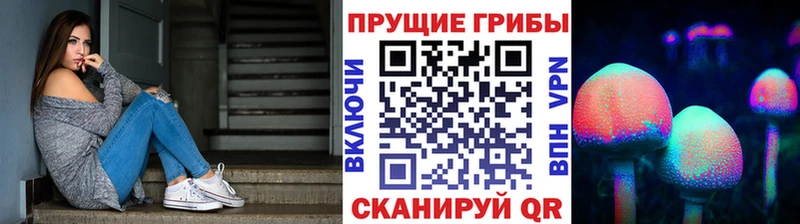 Галлюциногенные грибы прущие грибы  где можно купить   Райчихинск 